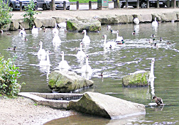 Three Sisters Lake
